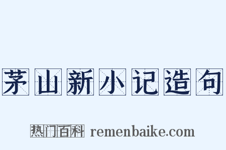 茅山新小记造句是什么意思的图片